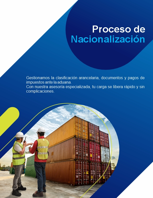 importacion dypsion 4